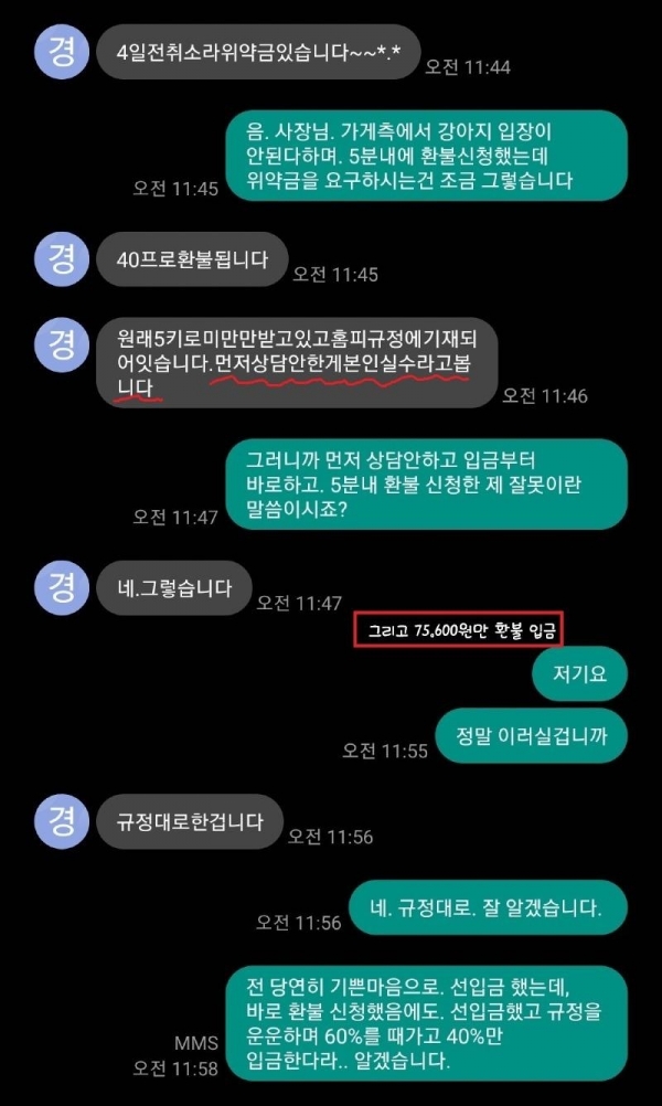사진= 보배드림 캡처