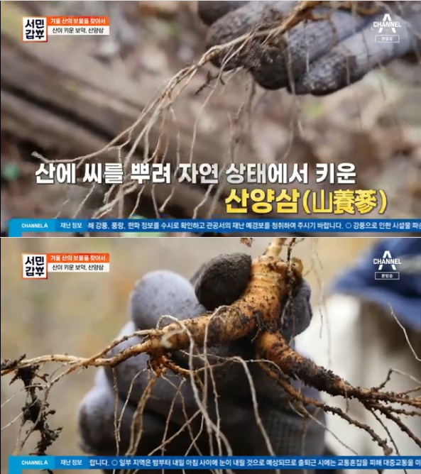 사진=채널A '서민갑부'