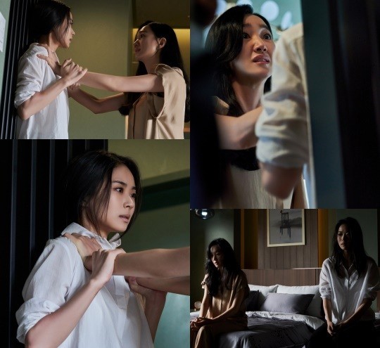 사진 = 하이스토리디앤씨, JTBC스튜디오