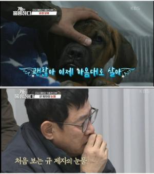 &apos;Good dog&apos; Lee Gyeong-gyu, tears in dealing with dosa dogs