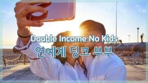 [NI카드뉴스] Double Income No Kids, 연예계 딩크 부부
