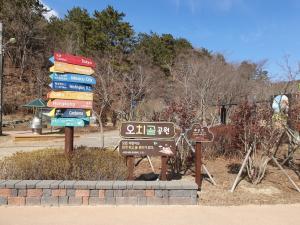 LG생활건강, 울산에 &apos;새들의 공원&apos; 조성..2천300평 규모에 나무와 인공 새집